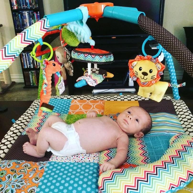 13743477_271364466579538_1567906536_n