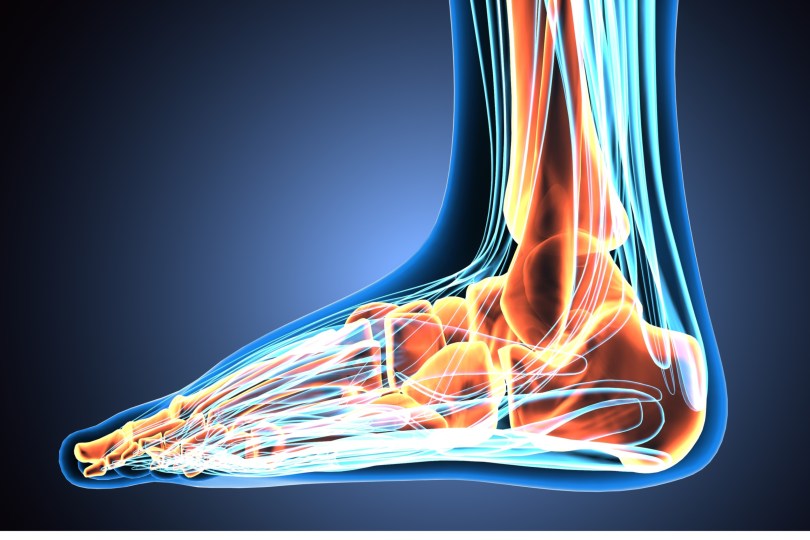 Image of foot with bones