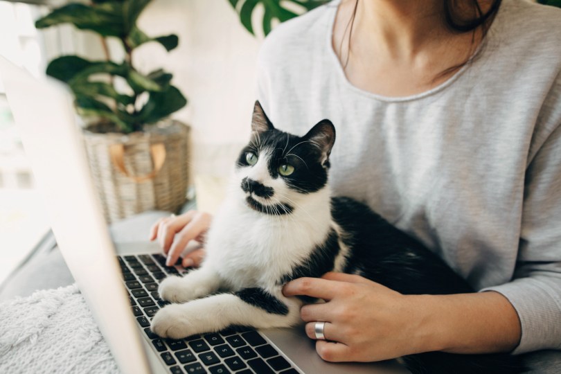 a family (a cat and person at computer)