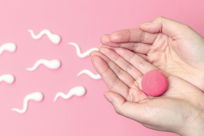 egg and sperm (depicted with cookie and frosting)