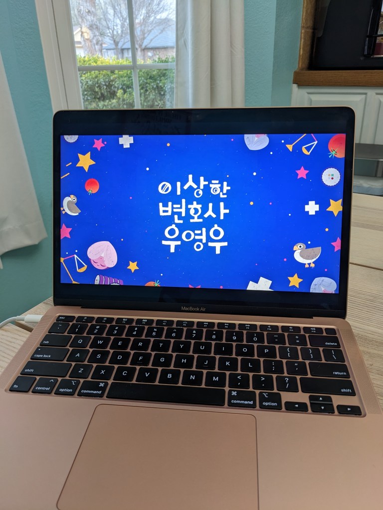 Netflix Show "Extraordinary Attorney Woo"