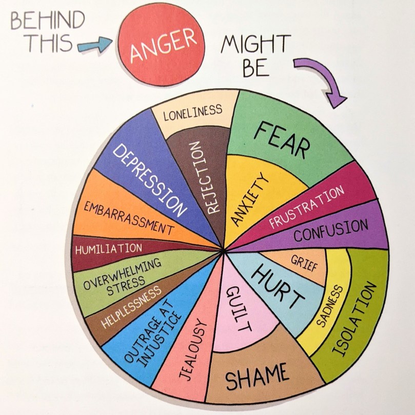 pie graph describing emotions behind anger (like shame)